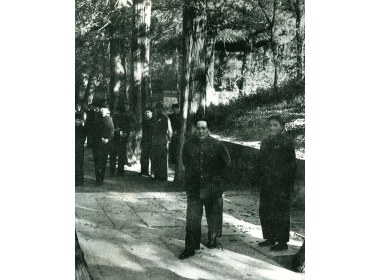 1952年10月28日，毛泽东在曲阜参观孔庙、孔林