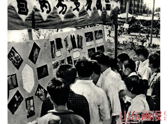 假冒伪劣商品展览
