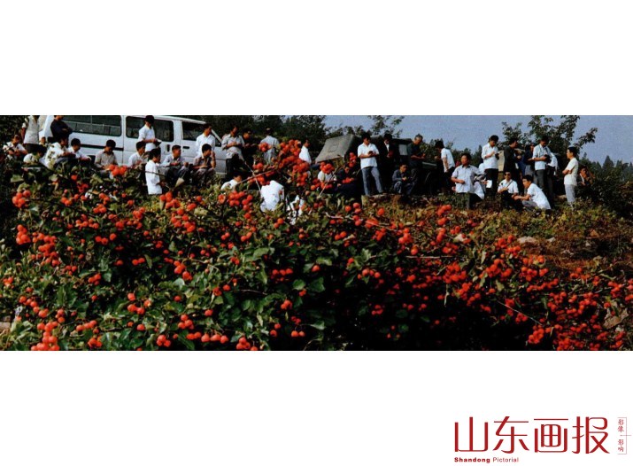 全国山楂会议的代表们