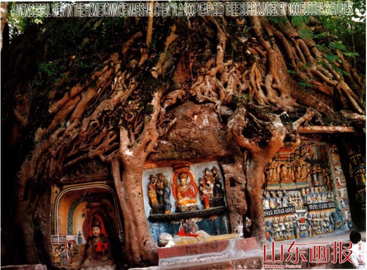 树根将众佛像团团抱住
