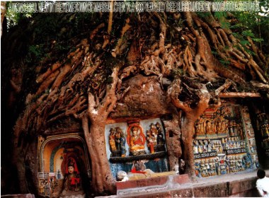 树根将众佛像团团抱住