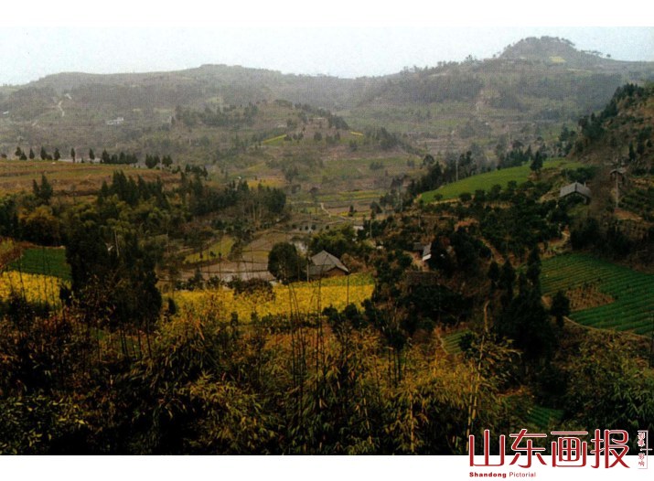 被世人喻为“鬼怪山庄”的“矮人村”