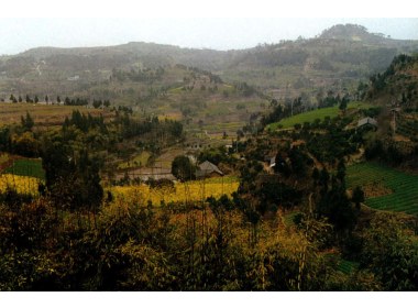 被世人喻为“鬼怪山庄”的“矮人村”