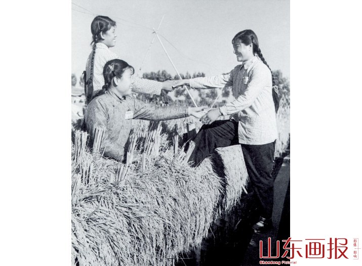 1958年9月,大跃进时,天津市登上稻子垛坐在上面的女社员