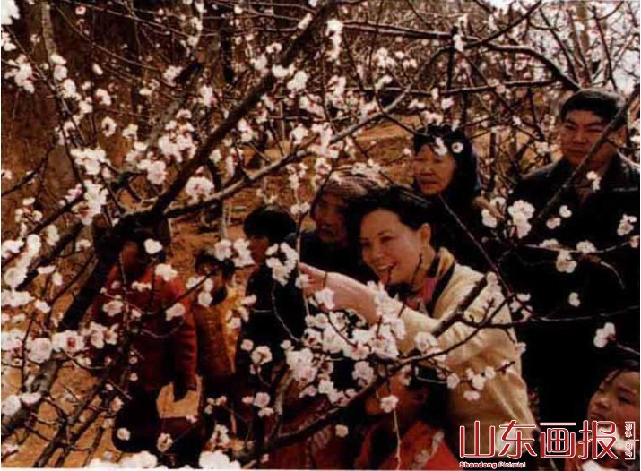 肥城杏花报春早