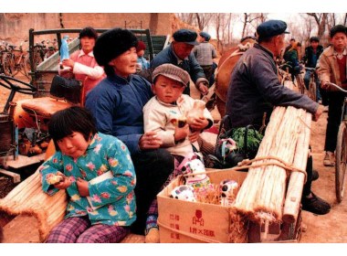 一家大小坐车赶集市，载满收获也载满了欢喜