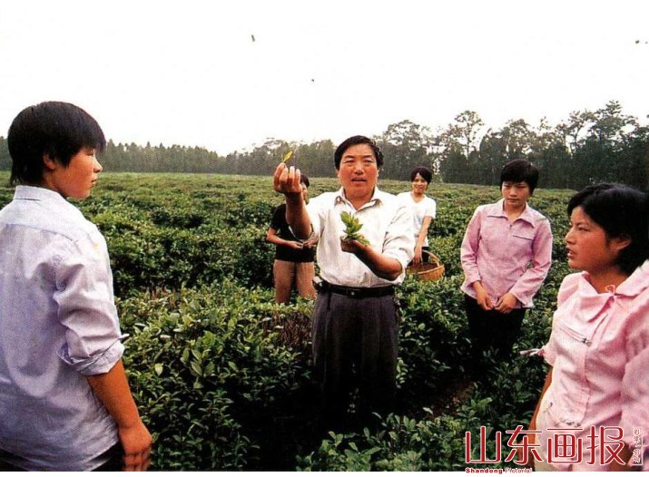 袁春山在茶园为职工讲解采茶技术