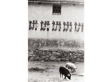 土墙上的标语