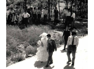 一对对幸福的情侣来海滨举行婚礼