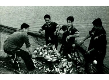 大力发展滩区水产业