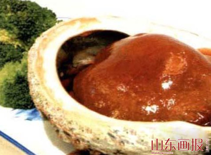 鲍鱼营养价值高