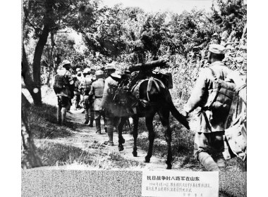 山东抗日战争和解放战争资料翻拍