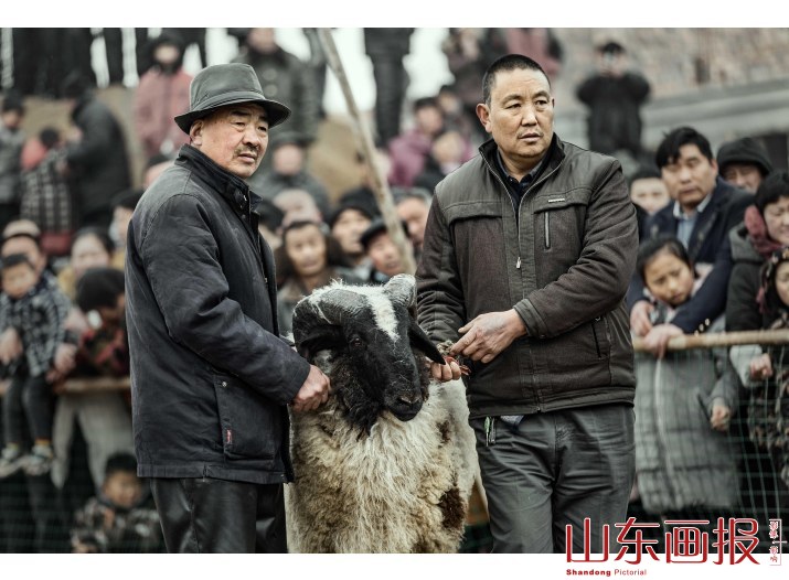 鲁西南斗羊