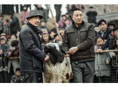 鲁西南斗羊