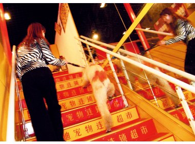 宠物商机不容小觑