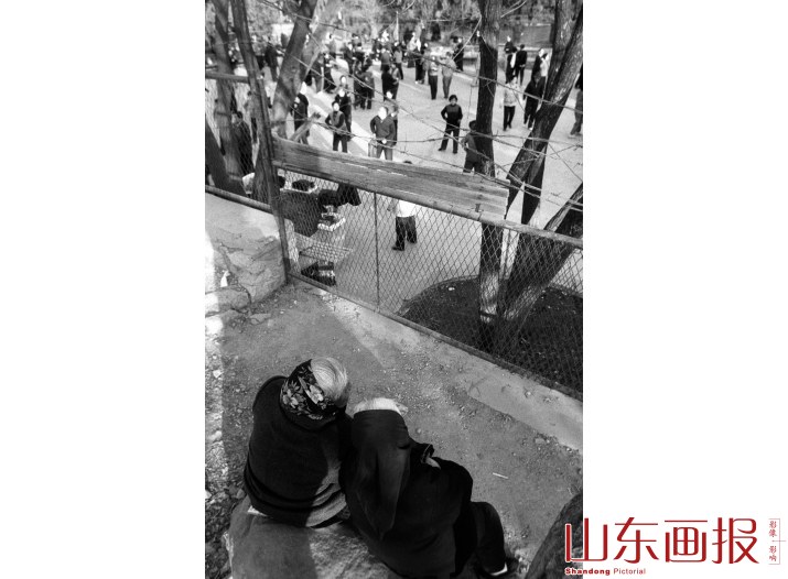 栅栏外冷眼的观众