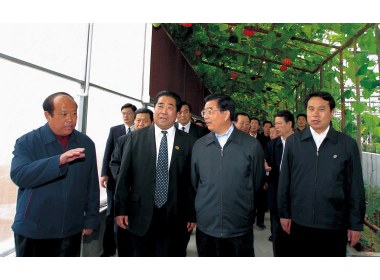 胡锦涛书记视察寿光市蔬菜高科技示范园