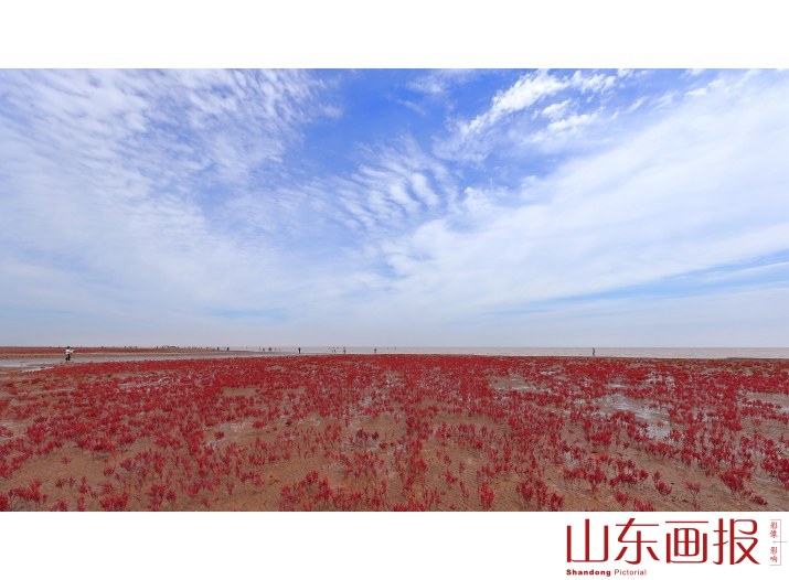 红海滩