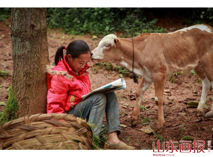 组图：自强不息的彝族女孩——刻苦读书