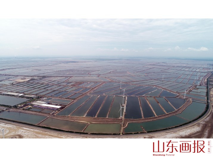《黄河口风能资源丰富》