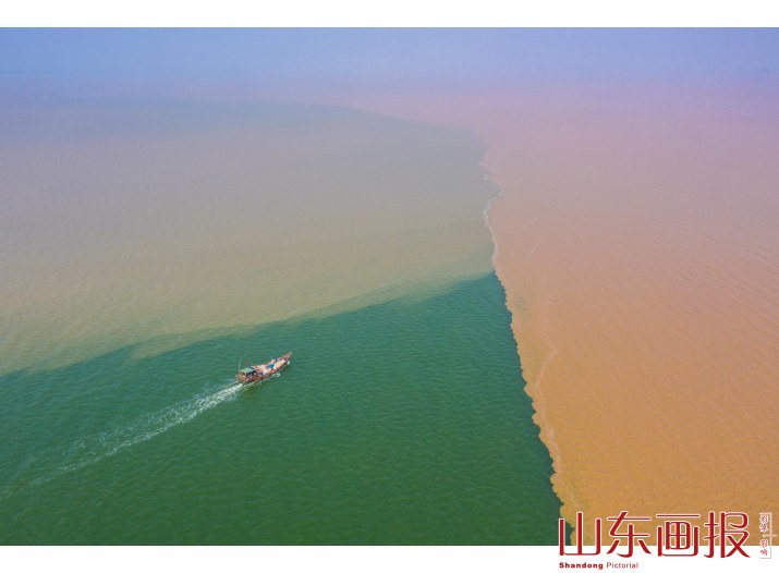 美丽黄河口