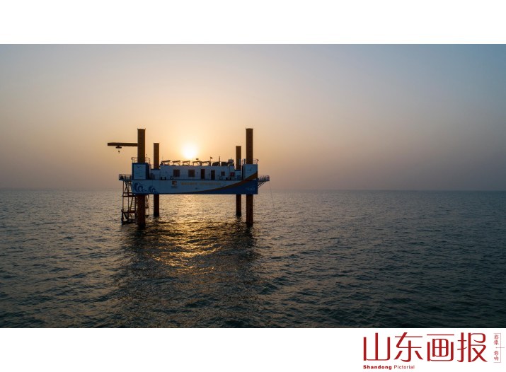 《海洋牧场--垦利平台》