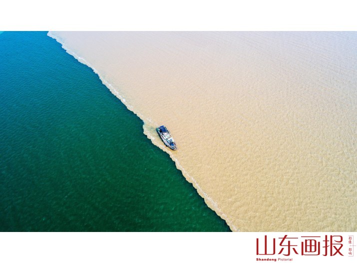 《黄蓝交汇，美丽东营》