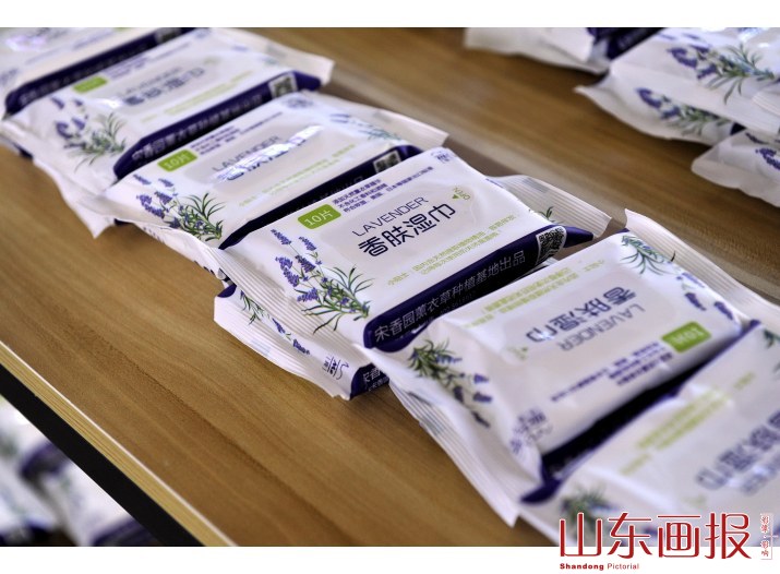 藏在深山里的“普罗旺斯”   带动乡亲致富的“熏衣草”