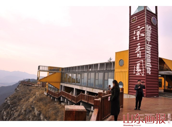 藏在深山里的“普罗旺斯”   带动乡亲致富的“熏衣草”