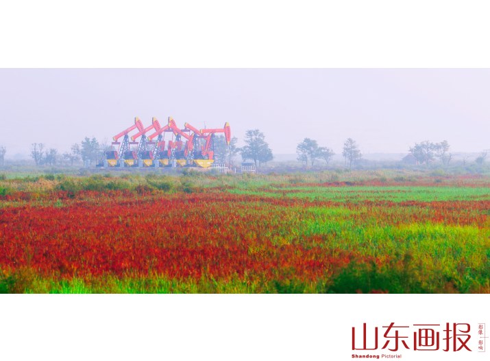 多彩油田