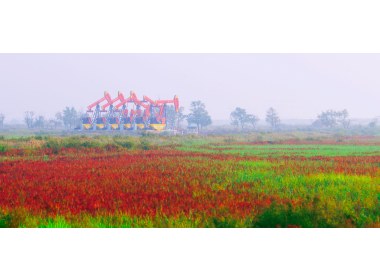 多彩油田