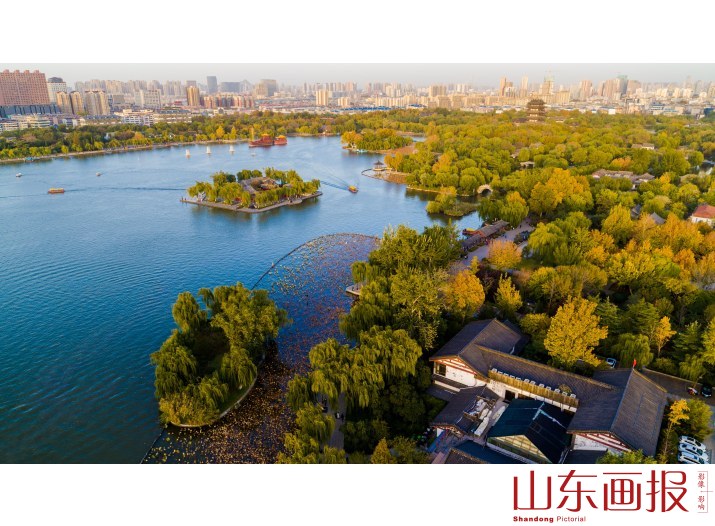 航拍大明湖与百花洲(17)