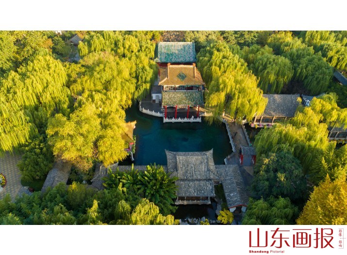 秋天航拍趵突泉(20)