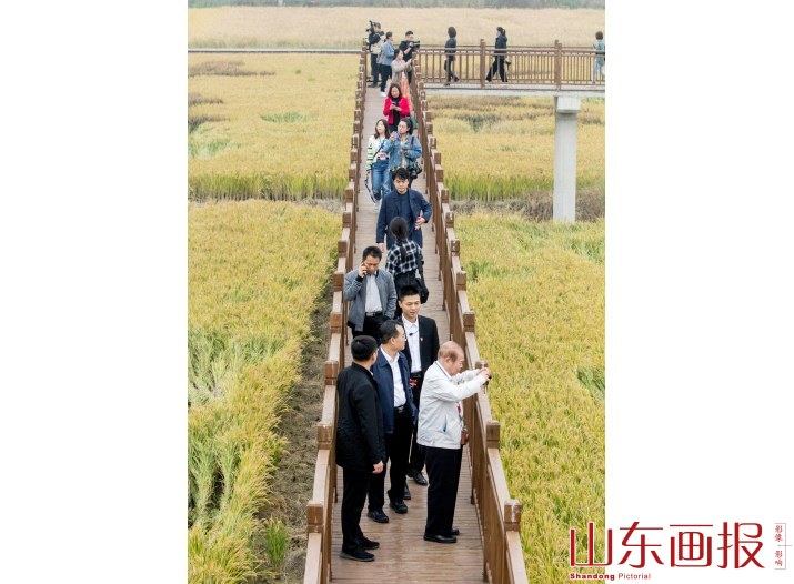 全国重点画报媒体看济宁