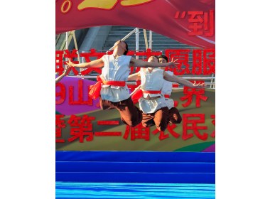 农民才艺