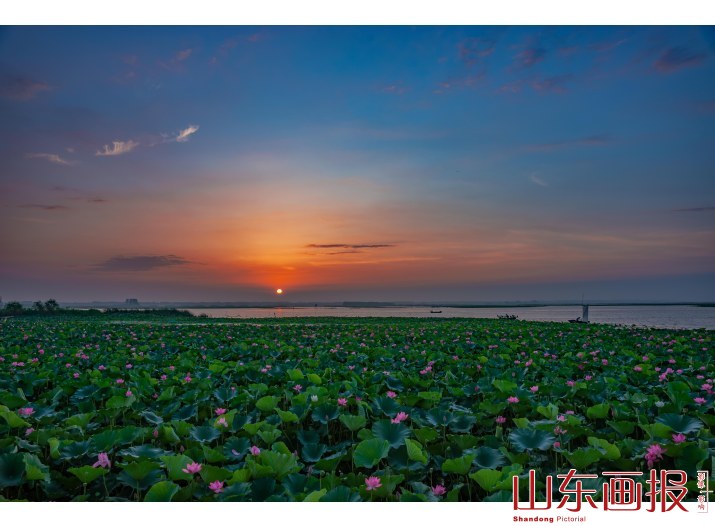 大美微山湖