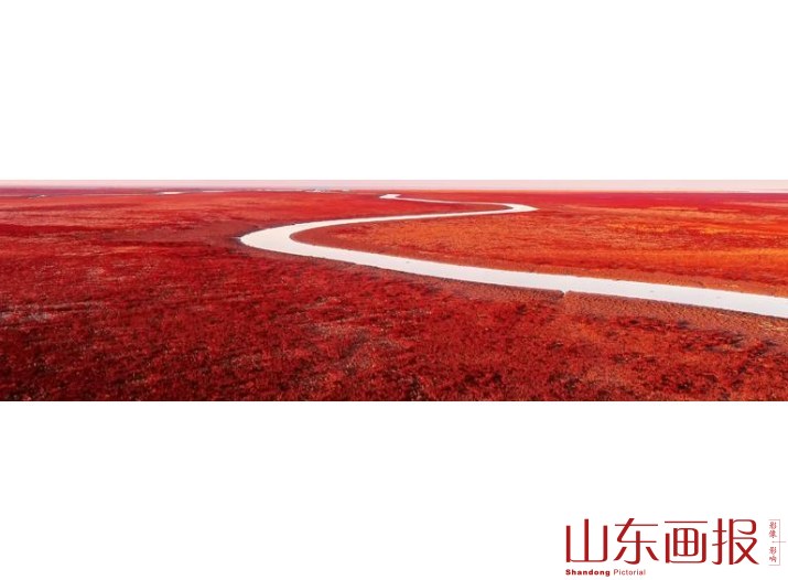红迎宾毯