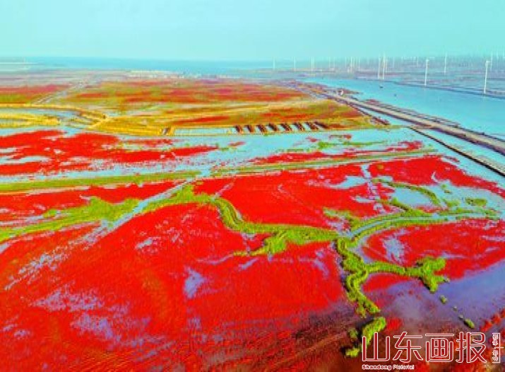 龙腾红毯
