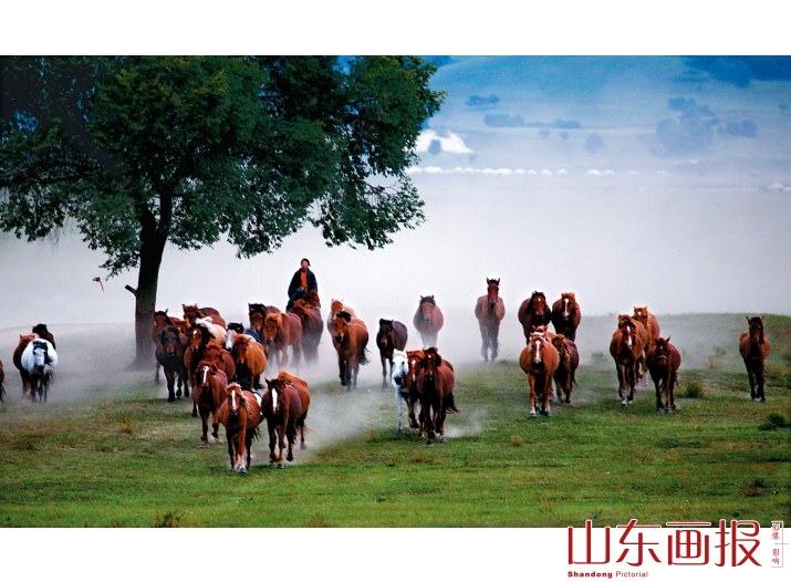 马群在树下奔跑