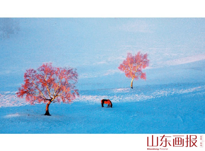 马儿在草原间