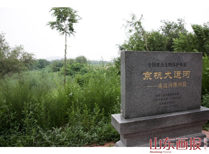 德州北厂漕仓遗址(3)