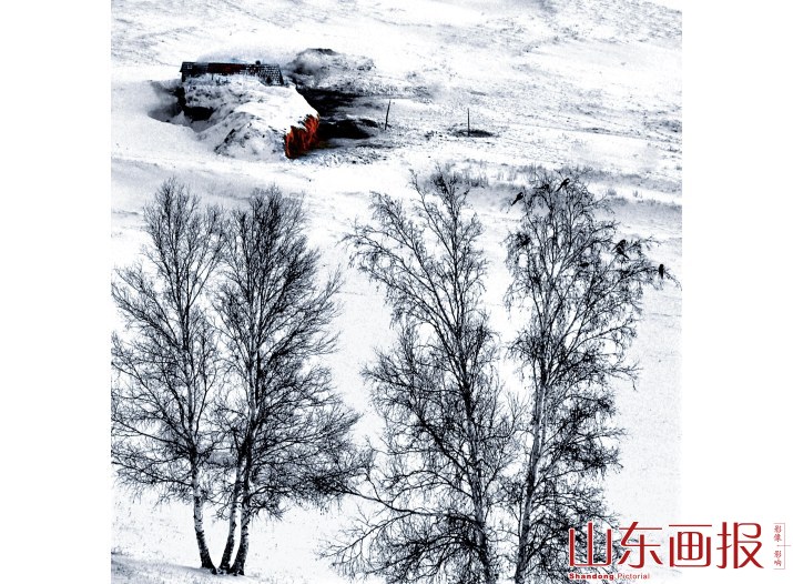 一棵枯树立于白雪皑皑之间