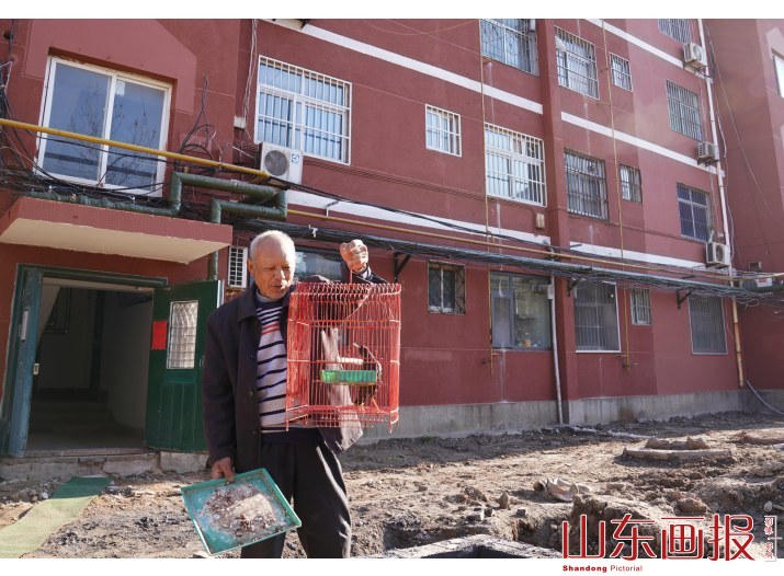 老旧小区改造过程中，居民外出“遛鸟”