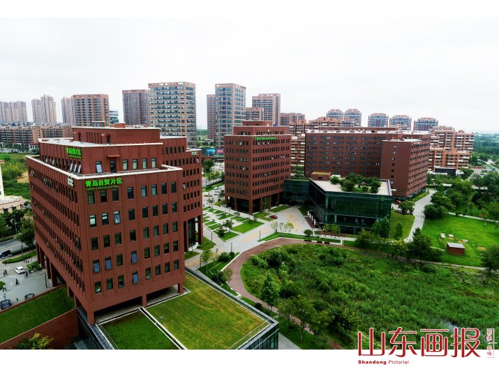 自贸区青岛片区