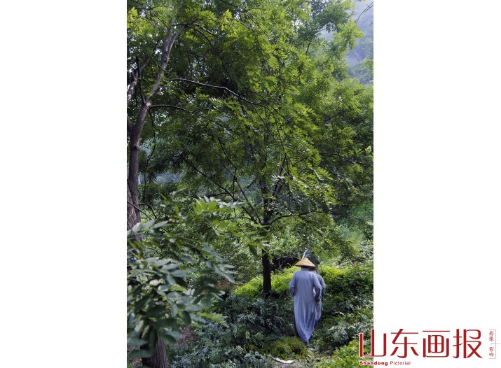 僧尼们边上山边高唱佛歌