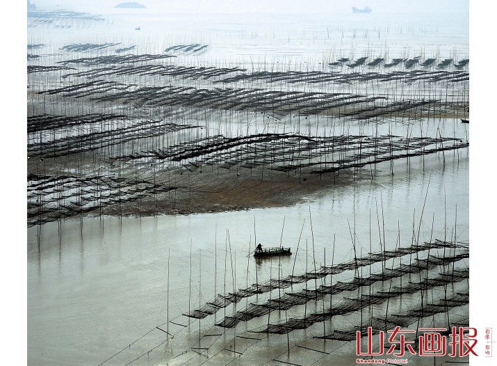 耕海小景，诡竿谲影