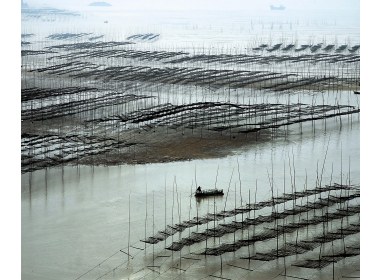 耕海小景，诡竿谲影