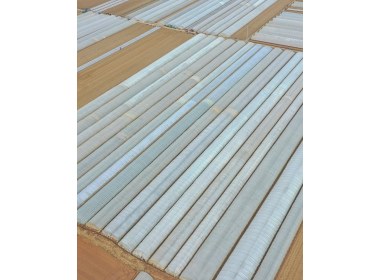 山东滕州：春土豆种植忙