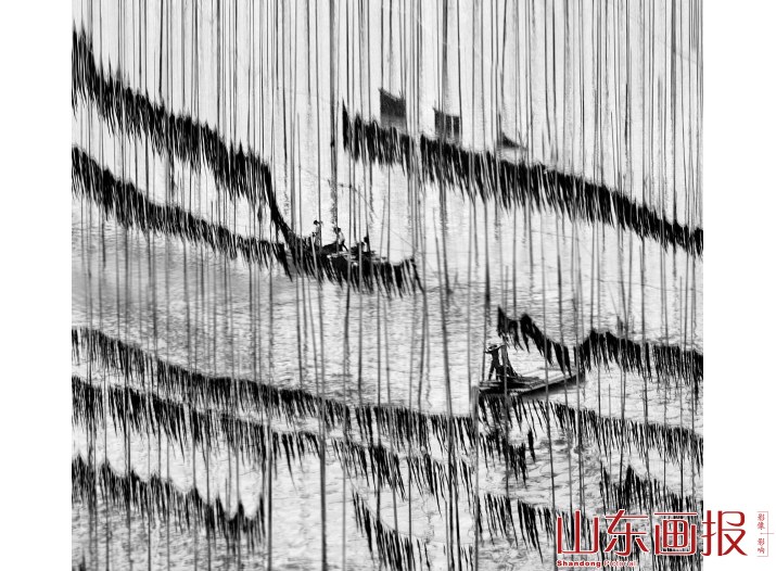 穿梭其中的渔民如同泼墨作画的匠人