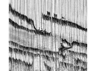 穿梭其中的渔民如同泼墨作画的匠人